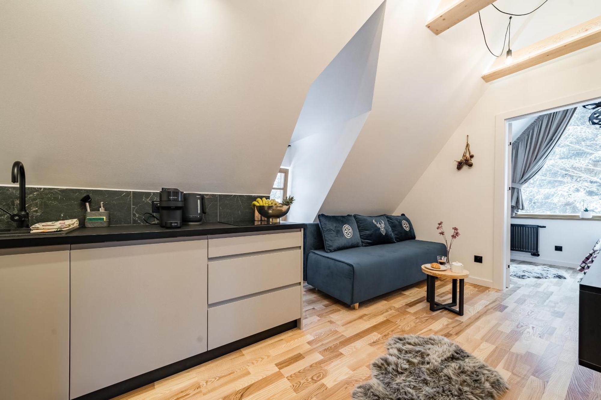 Zofiowka Apartamento *